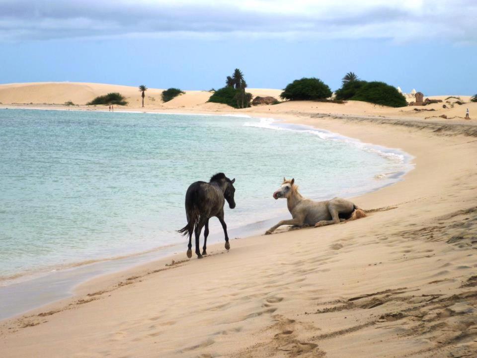 Vilas Praia De Chaves - Sol Y Mar Standart Rabil Zewnętrze zdjęcie